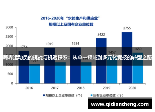 跨界运动员的挑战与机遇探索：从单一领域到多元化竞技的转型之路