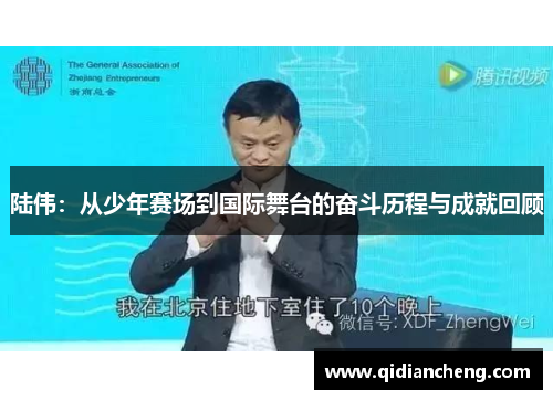 陆伟：从少年赛场到国际舞台的奋斗历程与成就回顾