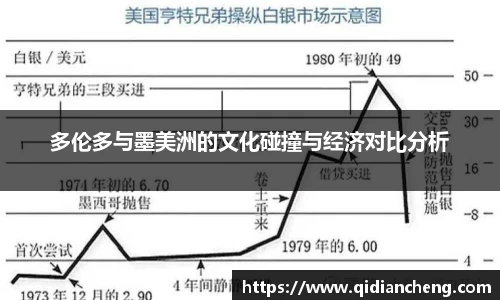 多伦多与墨美洲的文化碰撞与经济对比分析
