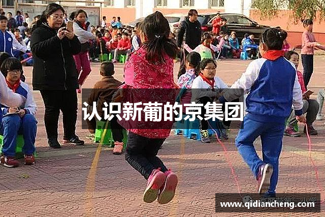 认识新葡的京集团